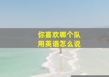 你喜欢哪个队用英语怎么说