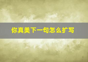 你真美下一句怎么扩写