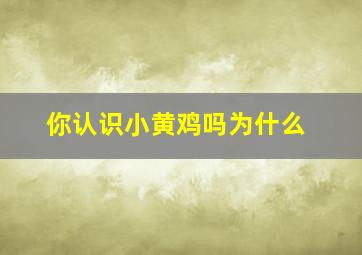 你认识小黄鸡吗为什么