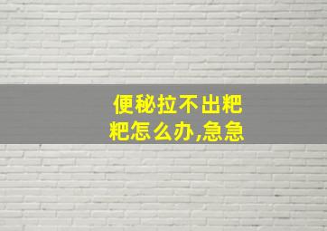 便秘拉不出粑粑怎么办,急急