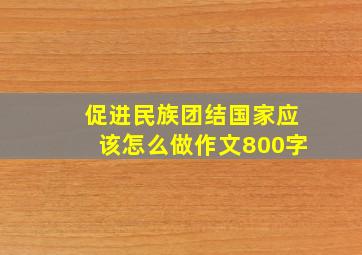 促进民族团结国家应该怎么做作文800字