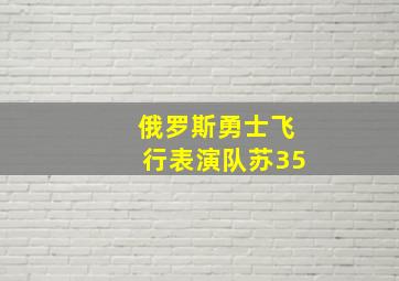 俄罗斯勇士飞行表演队苏35