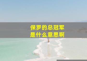 保罗的总冠军是什么意思啊