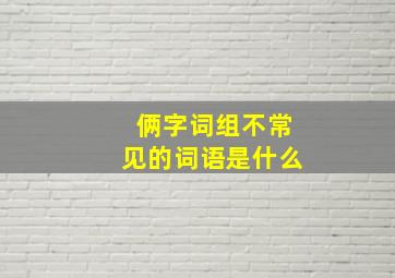 俩字词组不常见的词语是什么