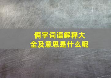 俩字词语解释大全及意思是什么呢