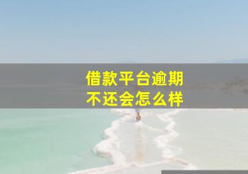 借款平台逾期不还会怎么样