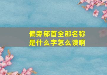 偏旁部首全部名称是什么字怎么读啊