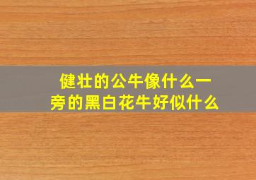 健壮的公牛像什么一旁的黑白花牛好似什么