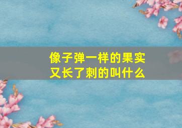 像子弹一样的果实又长了刺的叫什么