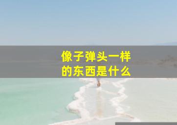 像子弹头一样的东西是什么