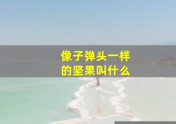 像子弹头一样的坚果叫什么