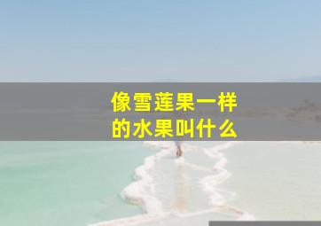 像雪莲果一样的水果叫什么