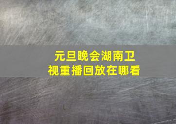 元旦晚会湖南卫视重播回放在哪看