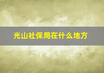 光山社保局在什么地方