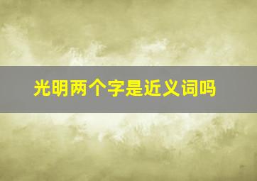 光明两个字是近义词吗