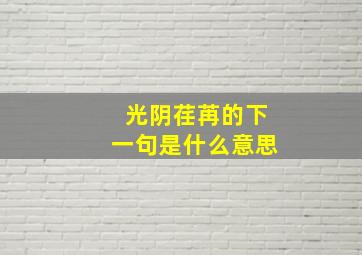 光阴荏苒的下一句是什么意思