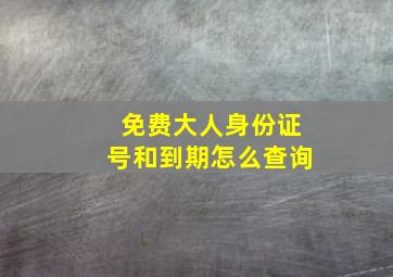 免费大人身份证号和到期怎么查询