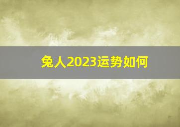 兔人2023运势如何