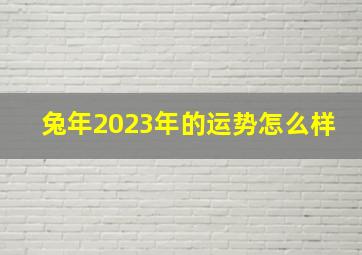 兔年2023年的运势怎么样