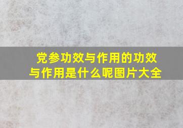 党参功效与作用的功效与作用是什么呢图片大全