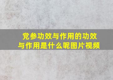 党参功效与作用的功效与作用是什么呢图片视频