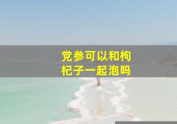 党参可以和枸杞子一起泡吗