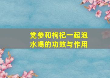 党参和枸杞一起泡水喝的功效与作用