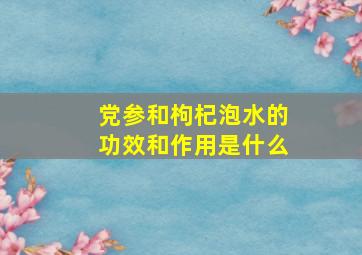 党参和枸杞泡水的功效和作用是什么