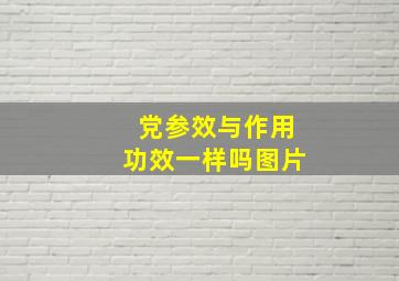 党参效与作用功效一样吗图片