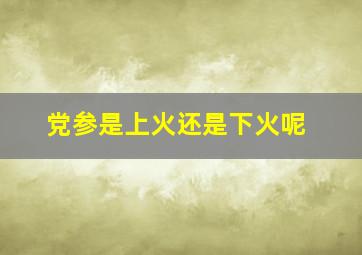 党参是上火还是下火呢