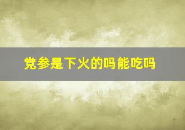 党参是下火的吗能吃吗