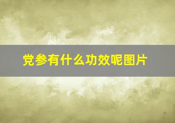 党参有什么功效呢图片