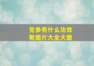 党参有什么功效呢图片大全大图