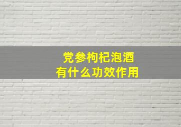 党参枸杞泡酒有什么功效作用