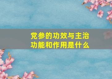 党参的功效与主治功能和作用是什么