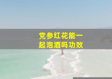 党参红花能一起泡酒吗功效