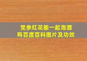 党参红花能一起泡酒吗百度百科图片及功效