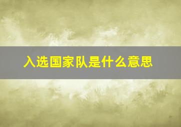 入选国家队是什么意思