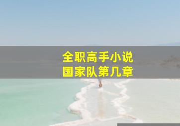 全职高手小说国家队第几章