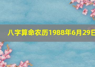 八字算命农历1988年6月29日