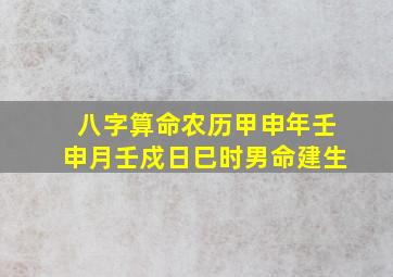 八字算命农历甲申年壬申月壬戍日巳时男命建生