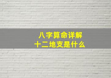 八字算命详解十二地支是什么