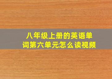 八年级上册的英语单词第六单元怎么读视频