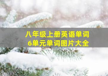 八年级上册英语单词6单元单词图片大全