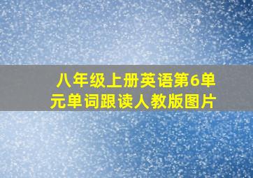 八年级上册英语第6单元单词跟读人教版图片