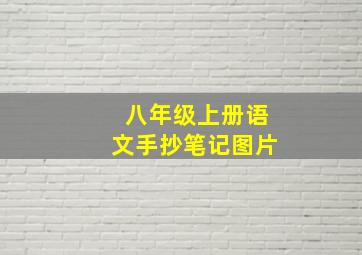 八年级上册语文手抄笔记图片