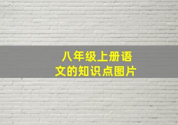 八年级上册语文的知识点图片