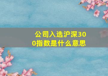 公司入选沪深300指数是什么意思