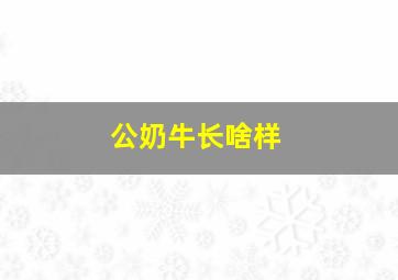 公奶牛长啥样