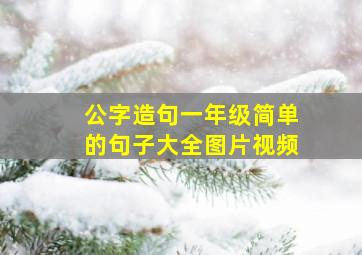 公字造句一年级简单的句子大全图片视频